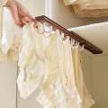Wardrobe Clothes Hanger Durable Closet Pull Out Hanger for Camisole Scarf Ties. 