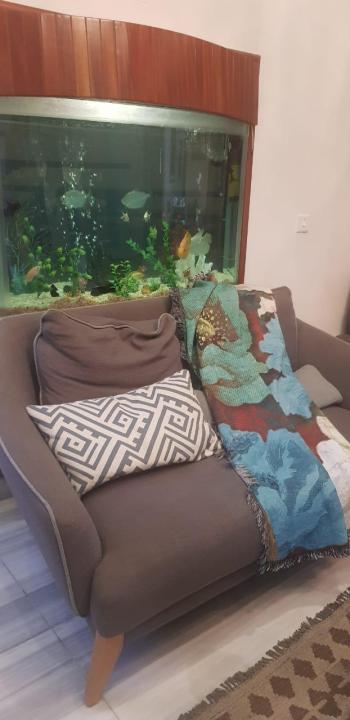 Self%20Printed%20Linen%20decorative%20Bed%20Throw%20Sofa%20Throw,%20Wall%20tapestry%20wall%20mounting%20multi%20home%20decor%20interior%20enhancer%20sheet%20-%20Image%207