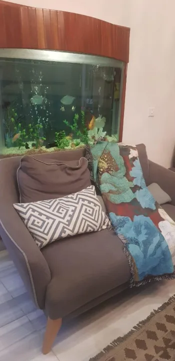 Self%20Printed%20Linen%20decorative%20Bed%20Throw%20Sofa%20Throw,%20Wall%20tapestry%20wall%20mounting%20multi%20home%20decor%20interior%20enhancer%20sheet%20-%20Image%207