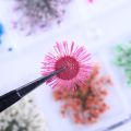 【happy one】12 Graids Mixed Flowers Nail Natural Floral Leaf Stickers 3D Dry Nail Art Designs Tips. 