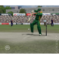 Cricket 2007 game for pc. 