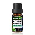 Herbology Black Currant Fragrance Oil - Candle Making Scent - Home Diffuser Fragrance Oil - Cosmetic Making ,Lip Balm,Soap making Fragrance Oil. 