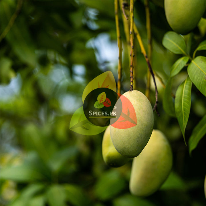 Pure%20Amchoor%20Powder%20200g%20%E2%80%93%20Premium%20Dry%20Mango%20Powder%20%E2%80%93%20Natural%20Khatai%20Powder%20for%20Tangy%20Flavor%20in%20Curries,%20Chaat%20&%20Cooking%20-%20Image%206
