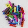 Pack of 20 Tiny Color Full Beautiful Pegs. 