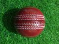 T-20 Cricket Hard Ball 1 piece. 