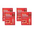 BD Chaurasia Human Anatomy – 4 Volume Set 8th Edition. 