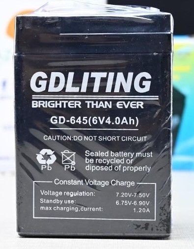Gd6 Remote Battery GDLITING GD-645 6V 4.0Ah SLA Rechargeable Battery – Maintenance-Free ...