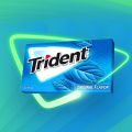 Trident Original Flavor Bubble Gum 1 Packet (27 grams Made in USA). 