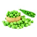 Peas (Mattar) Vegetables Seeds - Seeds Vegetables Packet - Excellent Germination - Healthy Vegetable. 