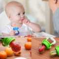 Baby Fruit Pacifier Infant Nipple Food Feeder Teeth Soother Baby Fruit Pacifier.. 