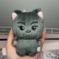 Kpop Idol ENHYPEN Jay American Cat Doll Keyring Plush Dolls Stuffed Toys. 