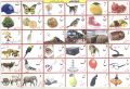 8 Pcs Set Animals, Fruits, Birds, Vegetables, Counting Early Learning Children Adhesive Stickers. 