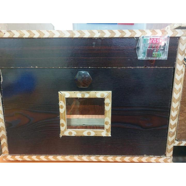 100 egg incubator