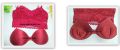 |Comfortable| Breathable| Seamless Lingerie Set for Girl and Women| Removable Padded Lace Net bras| Nightwear Sexy bras and Panties Set| Bras and Underwear Set| Wrapped Chest Bras| Camisoles and Underwear Set. 