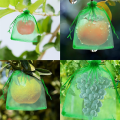 Fruit Protection Bags for Fruit Cover Mesh Bag Garden Netting Bags with Drawstring 150Pcs. 