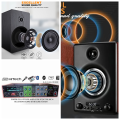 Powerful Bluetooth Stereo Amplifier with Digital Echo Light Effect and Dual Mic Support for 8 to 12 Inch Speakers. 