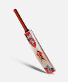cricket hardball bat kashmiri willow. 