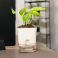 Self Watering Pots for Indoor & Outdoor Plants -Square Shape Elegant Design - Home Decor (Pack Of 1). 
