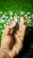 Pakistan Badges (6 Pcs) Pakistan Flag Metal Badge 14 August Badge Premium Quality Badges Azadi, Badges pakistan Badge In Very Cheap Price. 