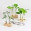 【BestGO】MAREING Transparent Wooden Stand Glass Vase Tabletop Plants Gifts Flower Decoration Hydroponic Plant Test Tube Vase Home Garden Decoration Plant Vases Flower Pot. 