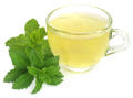 50+ Stevia Plant Seeds / Natural Sweetener / Stevia Rebaudiana Plant Seeds / Candyleaf or Sugarleaf Seeds. 