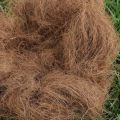 Nesting Material for Birds II PACK of 3 + 1pc Extra on Every Order .|| Grass Nest For Finches And Small Birds | nesting material | Coconut Fiber, Nesting Material Birds Coconut Grass For Small Nesting Birds - 25 to 30 grams. 