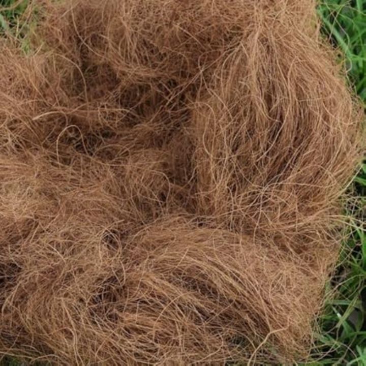 Nesting%20Material%20for%20Birds%20II%20PACK%20of%203%20+%201pc%20Extra%20on%20Every%20Order%20.%7C%7C%20Grass%20Nest%20For%20Finches%20And%20Small%20Birds%20%7C%20nesting%20material%20%7C%20Coconut%20Fiber,%20Nesting%20Material%20Birds%20Coconut%20Grass%20For%20Small%20Nesting%20Birds%20-%2025%20to%2030%20grams%20-%20Image%205
