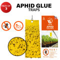 (Pack of 3) WBM Aphid Glue Trap | Sticky Insects & Bug Killer. 