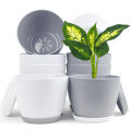 Fast Forward Extra Large Plant Pots: Two Vibrant Colors, Drainage, Ideal for Indoor Planters - Explore Multi-Packs for Plastic Planters, Cactus, and Succulents Decor. 