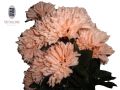 Artificial Skin Flowers - Artificial Marigold Flowers - Artificial Flowers - Flower Decoration - Flower For Home Decoration - Flowers - Artificial Flower For Decoration.. 