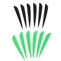 100 Pack Arrows Vanes 4 Inch Plastic Feather Fletching for DIY Archery Arrows - 50 Pack Black & 50 Pack Green. 