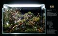 1.5Ft Planted aquarium. 