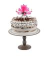 Musical Flower Rotating Birthday Candle With Happy Birthday Sound For Celebration. 