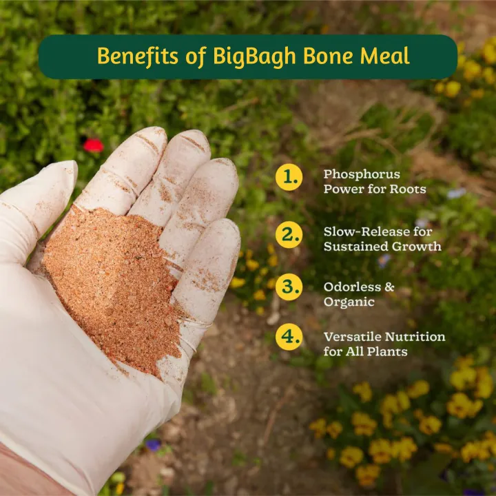 5kg%20premium%20Bonemeal%20BIGBAGH%20ORGANIC%20fertilizer,%20Highly%20nutritional%20fertilizer,%20%7C%7C%20fruiting%20and%20flowering%20%20for%20plants%20-%20Image%203