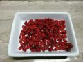 Red Zereshk Iranian 100 Gram. 