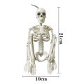 Halloween Skeleton Animated Foldable Plastic Couple Skull Bones Ornaments Party Decoration. 