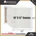 Openness Custom Sizes Primed Canvas, Size 10x12, Best for Painting and Artwork. 