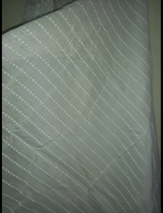 White%20dupatta%20with%20jhali%20border%20-%20Image%202