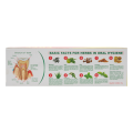English Herbal Toothpaste (Value Pack 135g). 