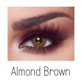 Bella Almond Brown Color Contact Lenses for Weak Eyesight (-0.50 to -4.00 Power) with FREE KIT (100% Original). 