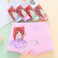 2 Pcs/Lot Girls Boxers Cotton Underwear For Kids Beautiful Rainbow Panties For Girls Breathable Soft Children Underpants 3-14Y. 