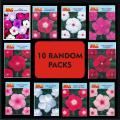 Pack of 10 Packets  All different Spring Summer Season Flower Seeds. 