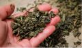 Fresh Green Tea (Qahwa) / Sabz Patti/ Dry Green Tea 100 GM /(Natural Qehwa )Wazan Kam Karne Wala Qahwa. 