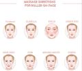 Meso Derma Roller for Face  Medical-Grade Stainless Steel Microneedle Roller for Face Skin Care Face Roller Derma Roller for Hair Growth Wrinkles Exfoliation  Facial Roller for Women Men .5mm. 