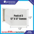 Pack of 3 Canvas for Painting - All sizes For Painting Blank White Canvas - 100% Cotton Art Panels for Oil, Acrylic & Watercolor Paint - Primed Canvas. 