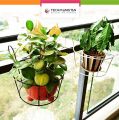 Techmanistan Balcony Railing Fence Outdoor Flower Pot Hanger Stand. 