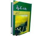 jannat k pattay by nimra ahmed. 