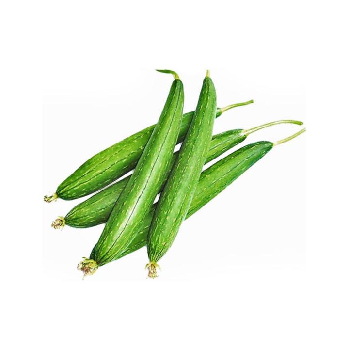 Sponge Gourd , گیاتوری , Ghiya tori (Desi Summer Vegetable Seeds)Sponge Gourd , گیاتوری , Ghiya tori (Desi Summer Vegetable Seeds)