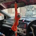 hanging monkey decoration for car and home. 