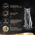 Sheba Classics, Wet Cat Food Trays, with Chicken in Terrine. 
